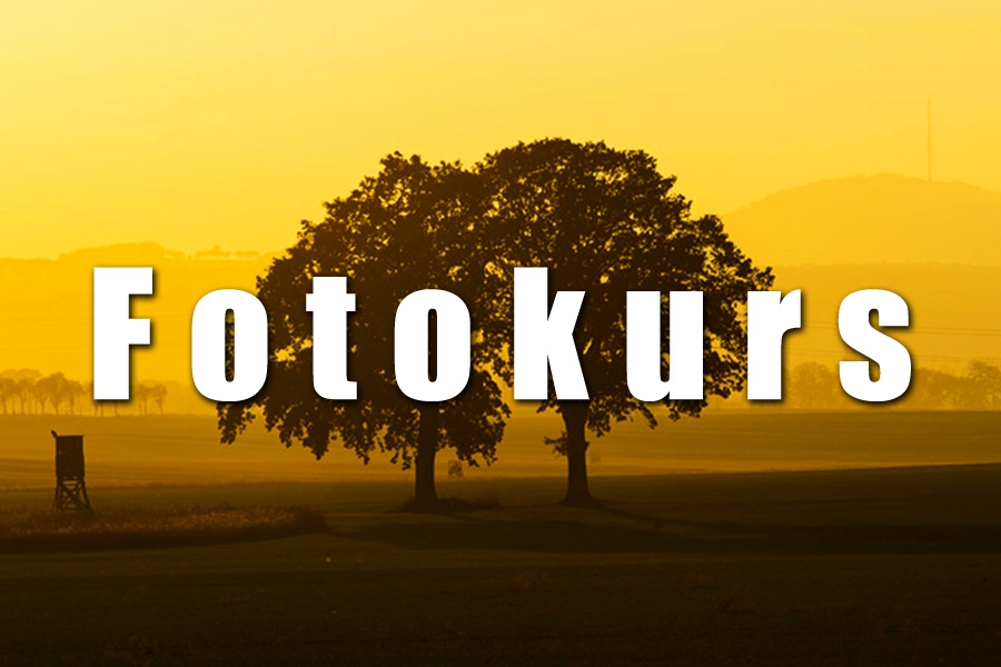 Fotokurs_900x600px